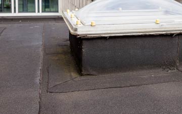 disadvantages of Warren Heath flat roofs