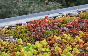 the cost of Warren Heath green roof installation