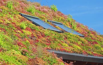 Warren Heath living roof systems