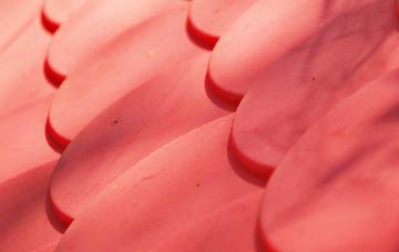 Warren Heath plastic roof costs