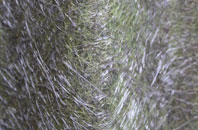 Warren Heath fibreglass roof work